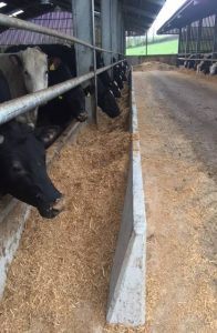 Feed Stop Walling